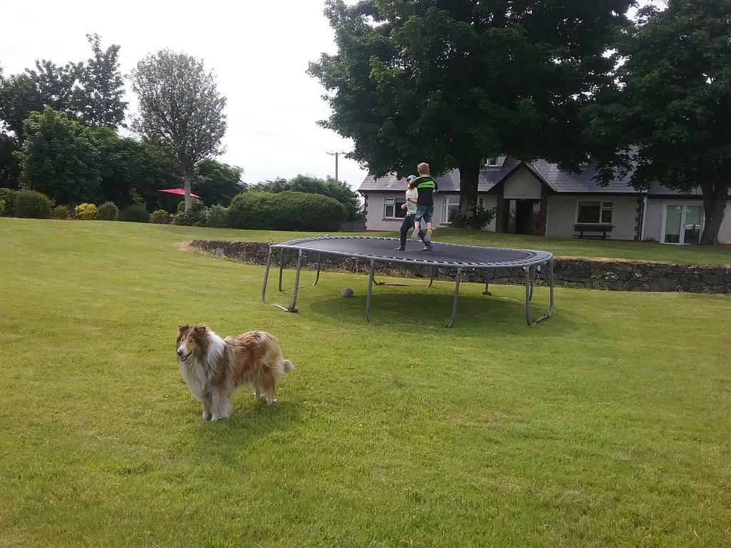 Rocksberry Bed & Breakfast Castlebar Esterno foto
