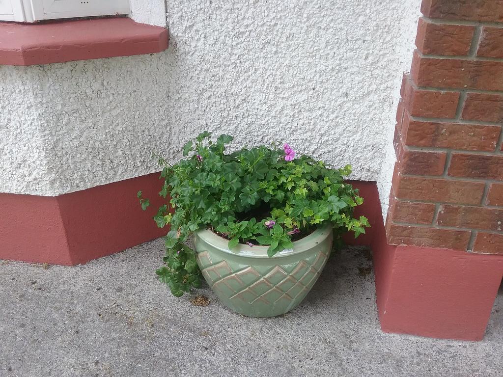 Rocksberry Bed & Breakfast Castlebar Esterno foto