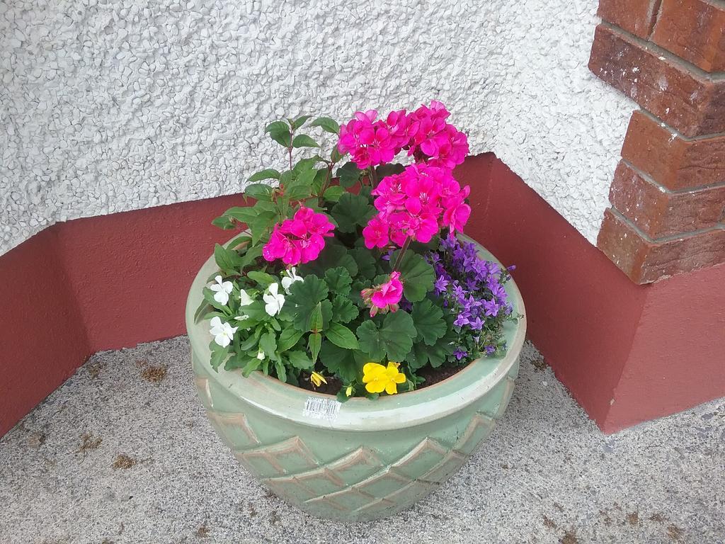 Rocksberry Bed & Breakfast Castlebar Esterno foto